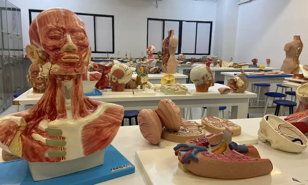 A importância de profissionais de Medicina receberem suporte psicológico