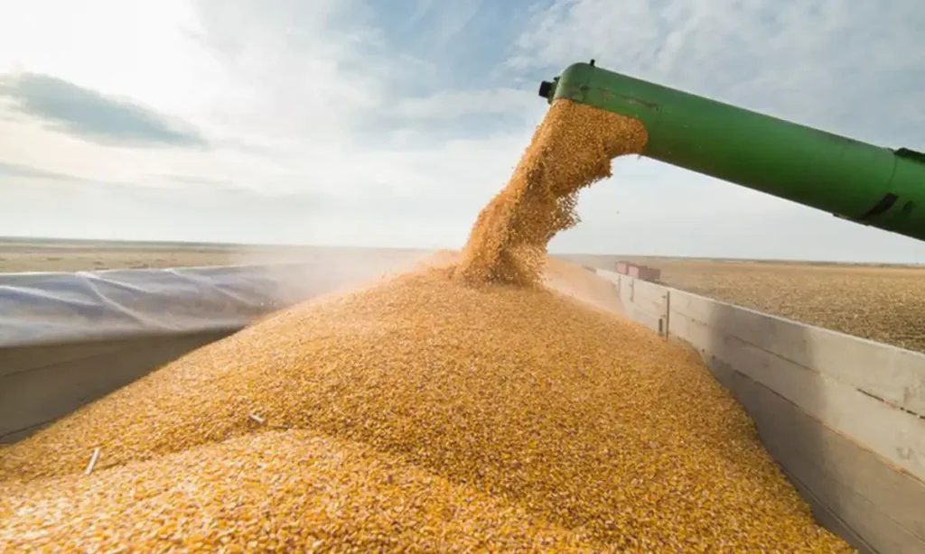 Brasil atinge novo recorde na safra de grãos, com 346,1 milhões de toneladas em 2025 Brasil atinge novo recorde na safra de grãos, com 346,1 milhões de toneladas em 2025