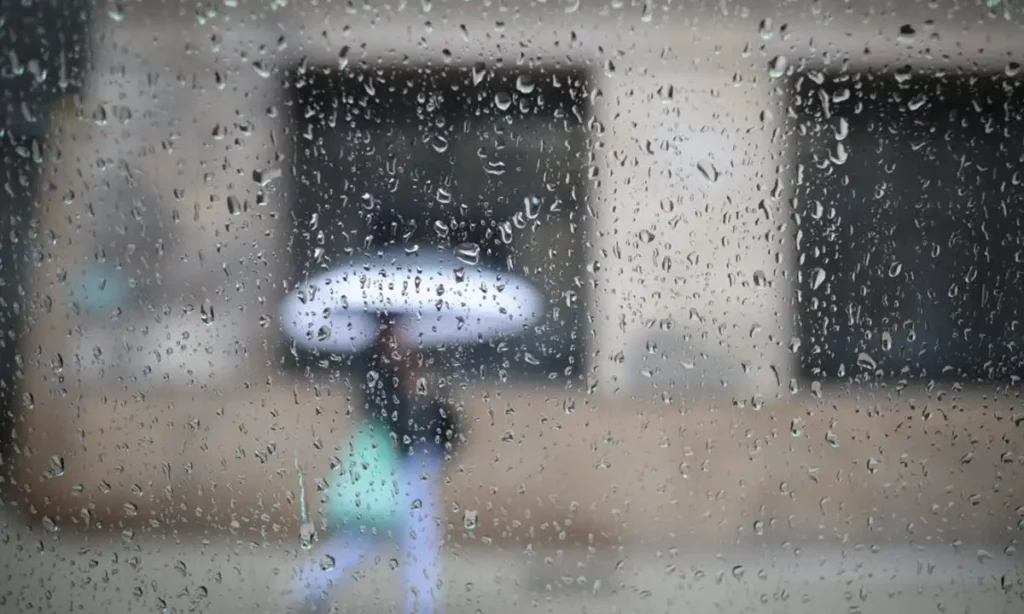 São esperados ventos de até 74 km/h, o que eleva risco de queda de árvores e interrupções no fornecimento de energia elétrica Foto: Divulgação/Governo de SP