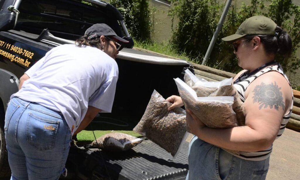 Moeda Pet chega ao Parque Central para primeira troca de 2026