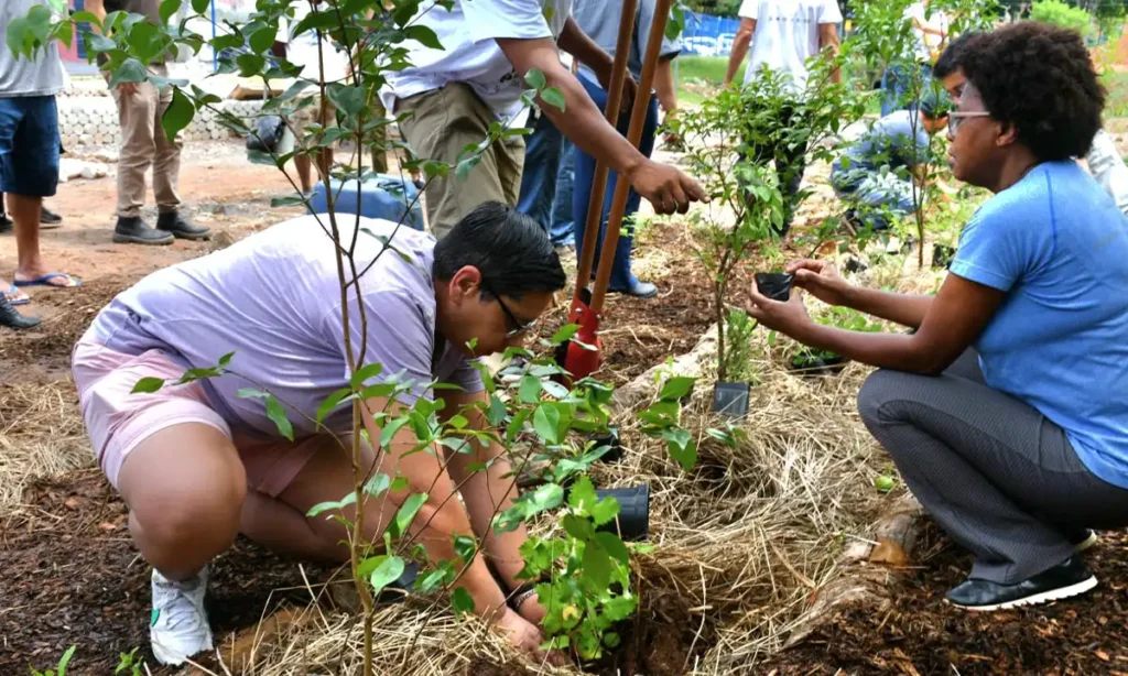 Mutirão amplia agrofloresta urbana no Quintal Verde Ana Maria, em Santo André