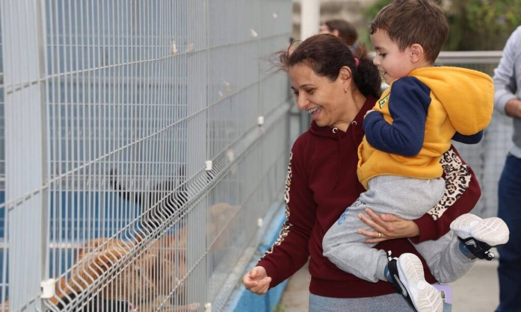 Santo André terá duas feiras de adoção de animais neste fim de semana