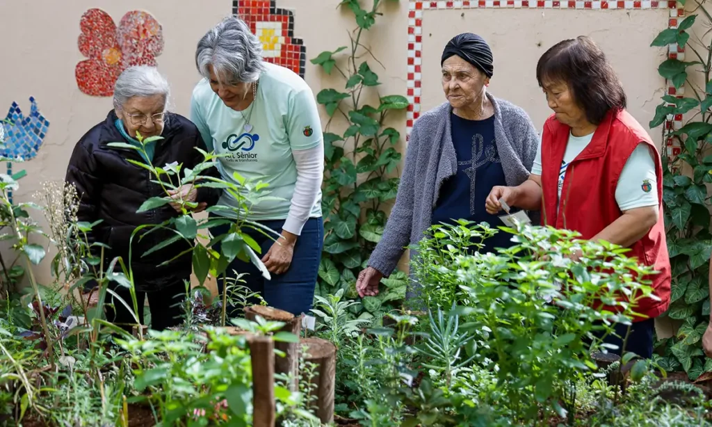 São Caetano abre rematrículas do ART Sênior com oficinas de arte para idosos