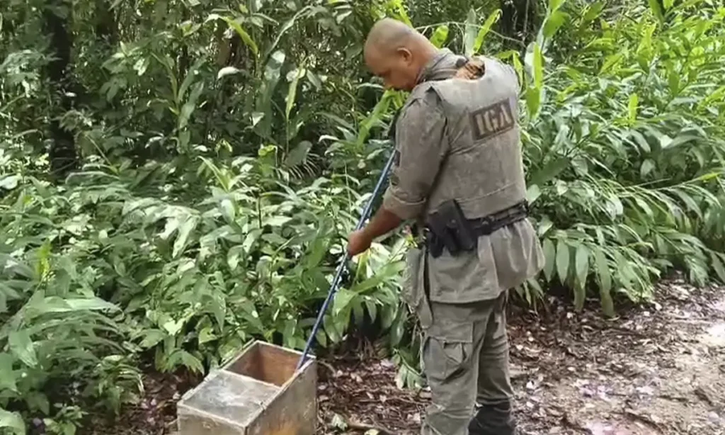 Guarda Ambiental de São Bernardo resgata jararaca em bairro próximo à Represa Billings Guarda Ambiental de São Bernardo resgata jararaca em bairro próximo à Represa Billings