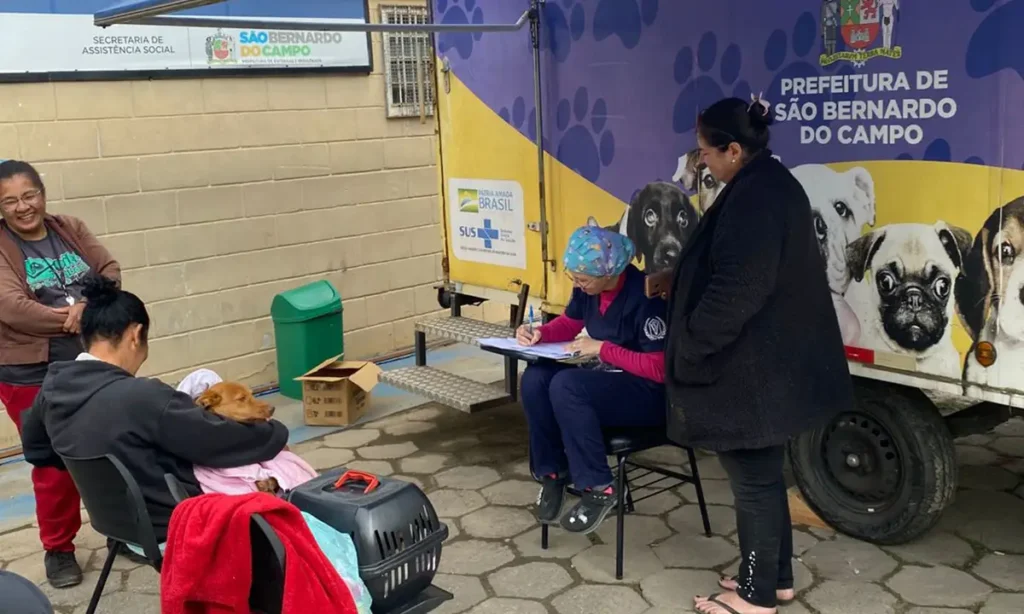 Castração gratuita em São Bernardo: Prefeitura abre 800 vagas para cães e gatos no Poliesportivo