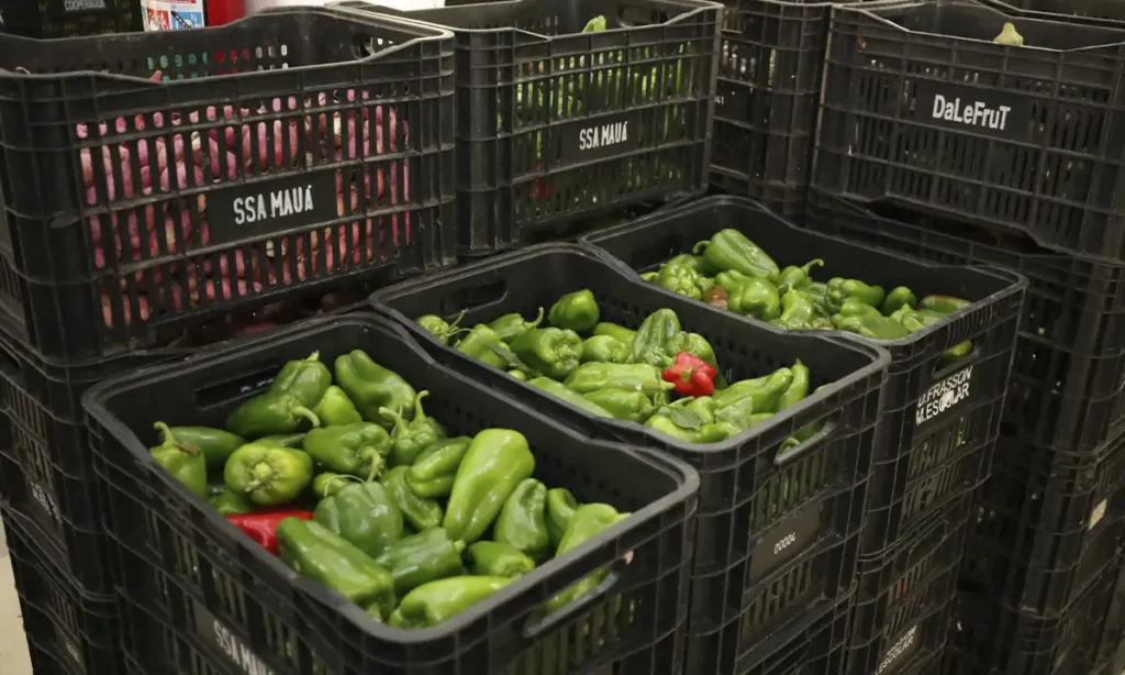 Fórum Municipal de Segurança Alimentar de Mauá recebe equipe do Governo Federal