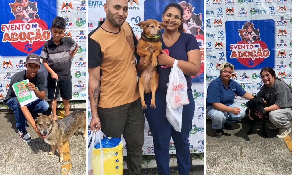 Prefeitura de Mauá realiza o 40º evento de adoção de pets Prefeitura de Mauá realiza o 40º evento de adoção de pets
