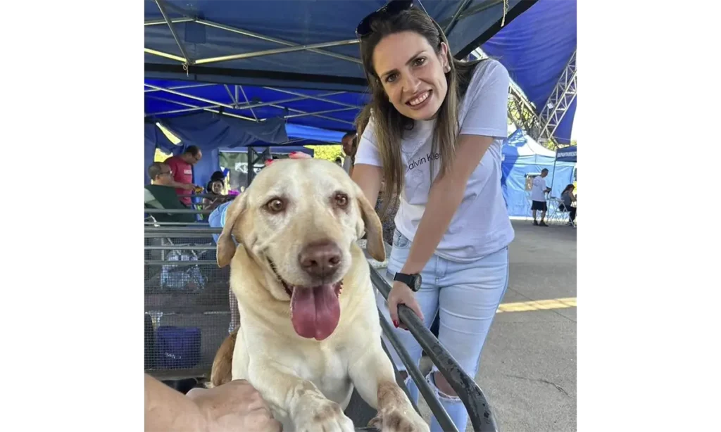 Proposta da vereadora Ana Veterinária, nova comissão da Câmara de Santo André foca em saúde e proteção animal