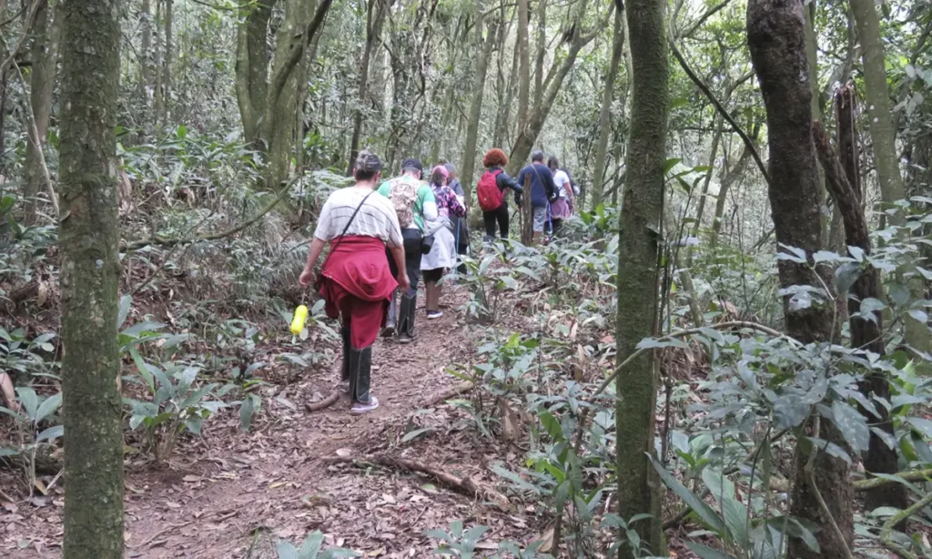 Semasa Santo André promove trilhas gratuitas e debates em celebração ao Mês da Água e da Mulher