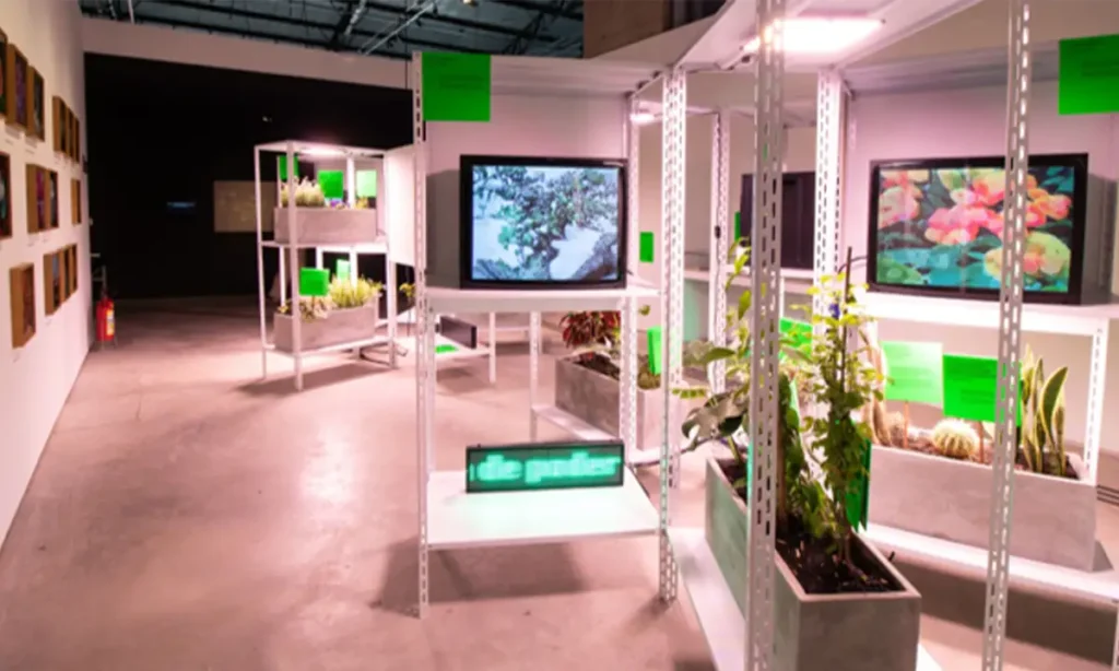 Sesc SP oferece roteiro de exposições gratuitas na capital e interior em 2026