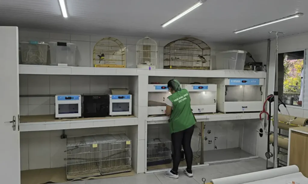 Zoológico de São Bernardo amplia capacidade clínica com novos equipamentos de reabilitação animal