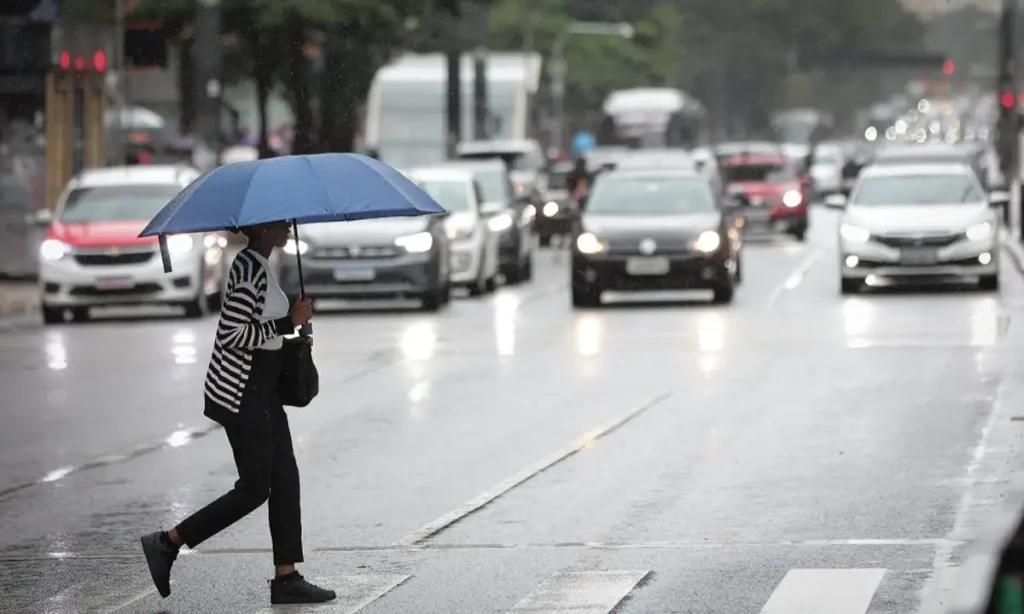 Defesa Civil emite alerta após frente fria trazer temporais e ventania para SP