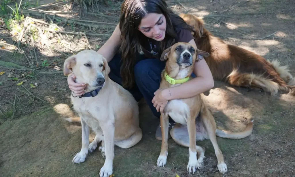 Mel Maia visita animais resgatados e incentiva a adoção